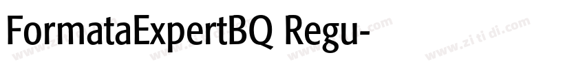 FormataExpertBQ Regu字体转换